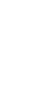 ProSilience Business Icon